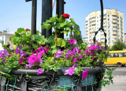 На улицах Некрасова и Давыдова в Камышине выключат свет 11 июня