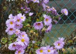 При южном ветре камышан ждет теплая суббота 29 ноября