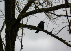 Ночь в условиях опасности прилета БПЛА провели жители Волгоградской области сегодня, 23 декабря