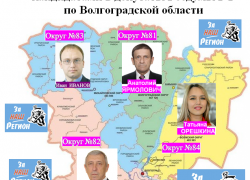 Какие известные камышанам политики пойдут одномандатниками в Госдуму от движения "За Наш Регион"