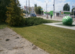 Камышане предлагают властям города покрасить потрескавшийся памятник Арбузу перед Арбузным фестивалем