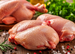 Кишечную палочку обнаружили в курином мясе в Волгоградской области 