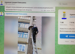 Телеграм-канал администрации Камышина показал, как в городе проводят месячник по благоустройству "с риском для жизни"