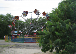 Администрация Камышина озвучила итоги голосования по проектам инициативного бюджетирования на 2026 год