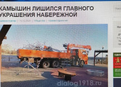 В Камышине с набережной "эвакуировали" поваленное и разбитое ураганом светящееся дерево