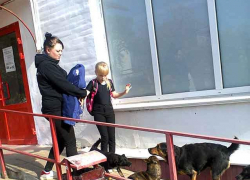 От бешенства умерла еще одна жительница Волгоградской области: уже третий смертельный случай в этом году, - "Блокнот Волгограда"