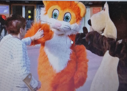 Какую важную идею "выдвинулись" популяризировать в Камышине смешные куклы