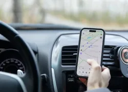 Волгоградская область стала популярным направлением для загородного отдыха