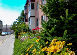 В каких домах не будет света в Камышине сегодня, 5 августа?