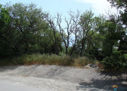 Следователям Камышина удалось установить личность женщины, половину трупа которой съели собаки, - ей оказалась молодая камышанка