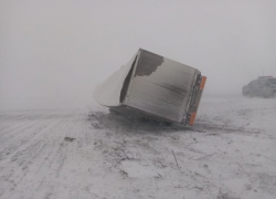 Почему в Камышине в выходные дни новости можно узнать только на частных сайтах, а муниципальные СМИ впадают в спячку? - камышанка