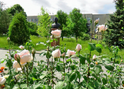 Администрация Камышина ищет на работу аналитика-прогнозиста через федеральный сайт 