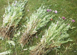 В Камышинском районе сотрудники ДПС задержали подозреваемого в незаконном обороте наркотиков