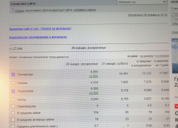 "Боты" поумнели при прочтении камышинского сайта "Инфокам"?