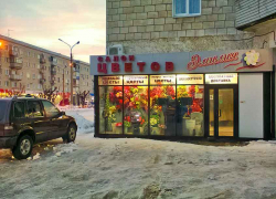 Погодные "качели" февраля: в четверг в Камышине дождь и ветер, в выходные - снег и ветер