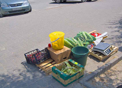 "Не понимаю, почему администрация Камышина не добьется, чтобы хотя бы на улице Ленина не торговали с земли?" - камышанка