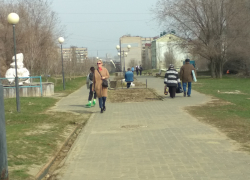 Мини-фонтан на Каштановой аллее в Камышине "замуровали" под упаковкой навсегда? - камышанка