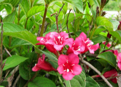 Погода в Камышине на выходные 21-22 июня: будет очень прохладно