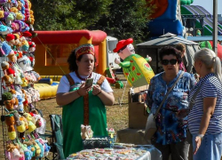 Пенсионеры Волгоградской области перешли на цифровое общение