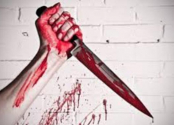 В Камышине во время посиделок женщина нанесла другу 25 ударов ножом