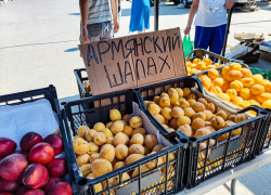 Камышанам предлагают купить шалах - что это такое?