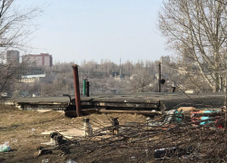 Когда уже администрация начнёт делать что-то с собаками: размножаются быстрей кроликов! - камышанка