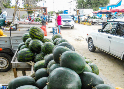 В Камышине арбузы не сильно подорожали с лета