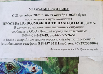 «Дайте, пожалуйста, уже отопление, у меня маленький ребёнок, и он болеет!» - камышанка