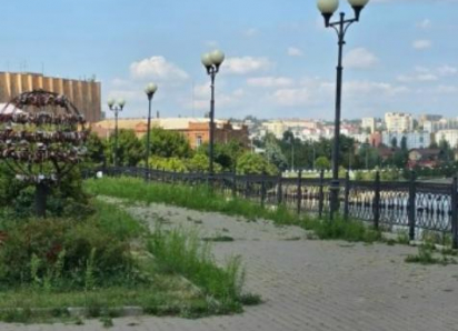 «И как же мне было стыдно за нашу набережную!» - камышане в шоке от заросшего травой города