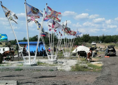 На воинском участке муниципального кладбища в Камышине родные погибших бойцов обнаружили в День России коров, «раскидывающих мордами цветы»