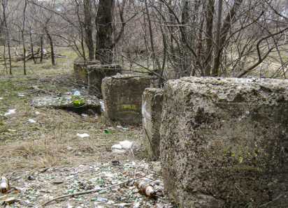 В Камышине  новый парк Текстильщиков начали убирать с «задворок» - горожане сразу отправились на прогулки по вычищенным от мусора тропинкам с первоцветами