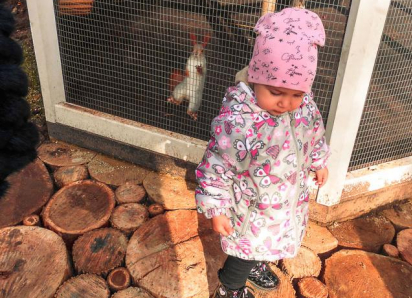 В Волгоградской области выплачивают региональный материнский капитал - на какого по счету ребенка и какую сумму?