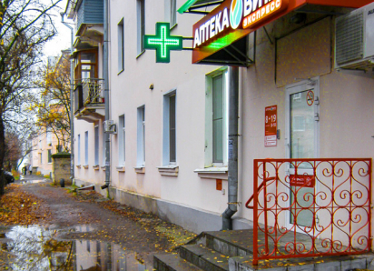 Жителям второго участка и этой осенью придется прыгать в аптеку через вечную лужу, как сайгакам? - камышанка