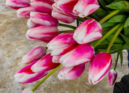 «Меня поздравили, и особо тронула фраза, сказанная с поклоном: «За сына»...