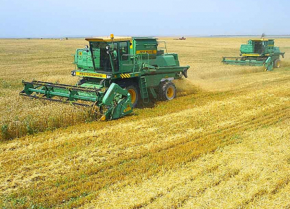 Стали известны кандидатки на должность главы Камышинского района: депутатам районной думы соискательниц представят завтра, 18 ноября