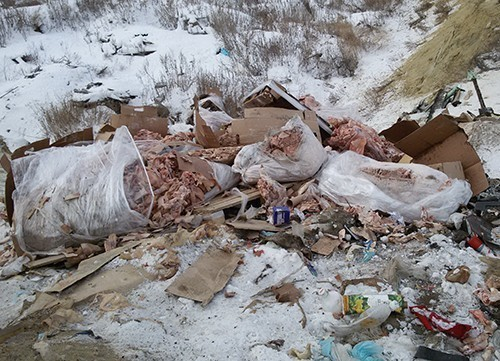 «Колбасные короли» Камышина открещиваются от организации свалки биологических отходов в овраге промзоны