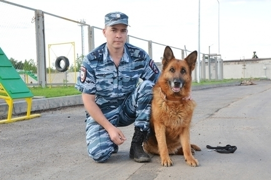 Главный полицейский Камышина анонсировал открытие центра сыскных собак в городе