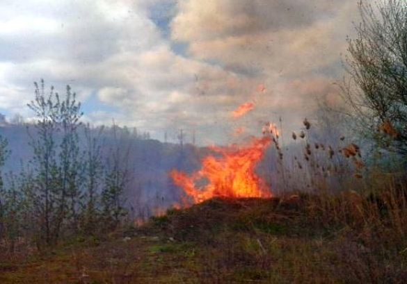 Камышинский район в числе лидеров по ландшафтным пожарам