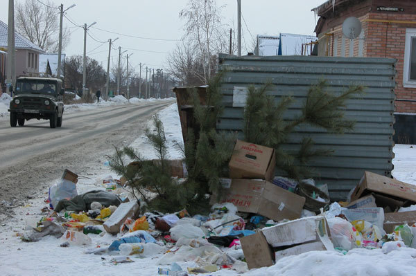 Хвою с кладбищ елок на камышинских мусорках  превратят в лежбища для полицейских лошадей