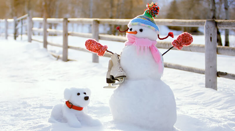 Городской семейный конкурс «Парад снеговиков» - прими участие