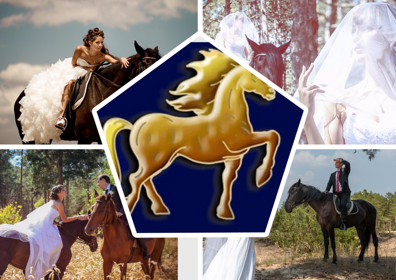Свадебная фотосессия с лошадьми в Камышине с  Golden Horse