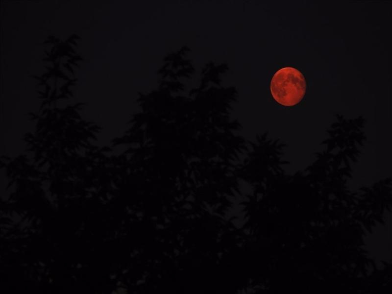 Жители Камышина сегодня смогут наблюдать «Кровавую луну»