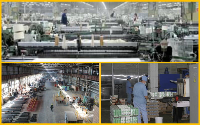 Любимый город ,  Камышинский текстиль и Камышинский опытный завод признаны лучшими в регионе
