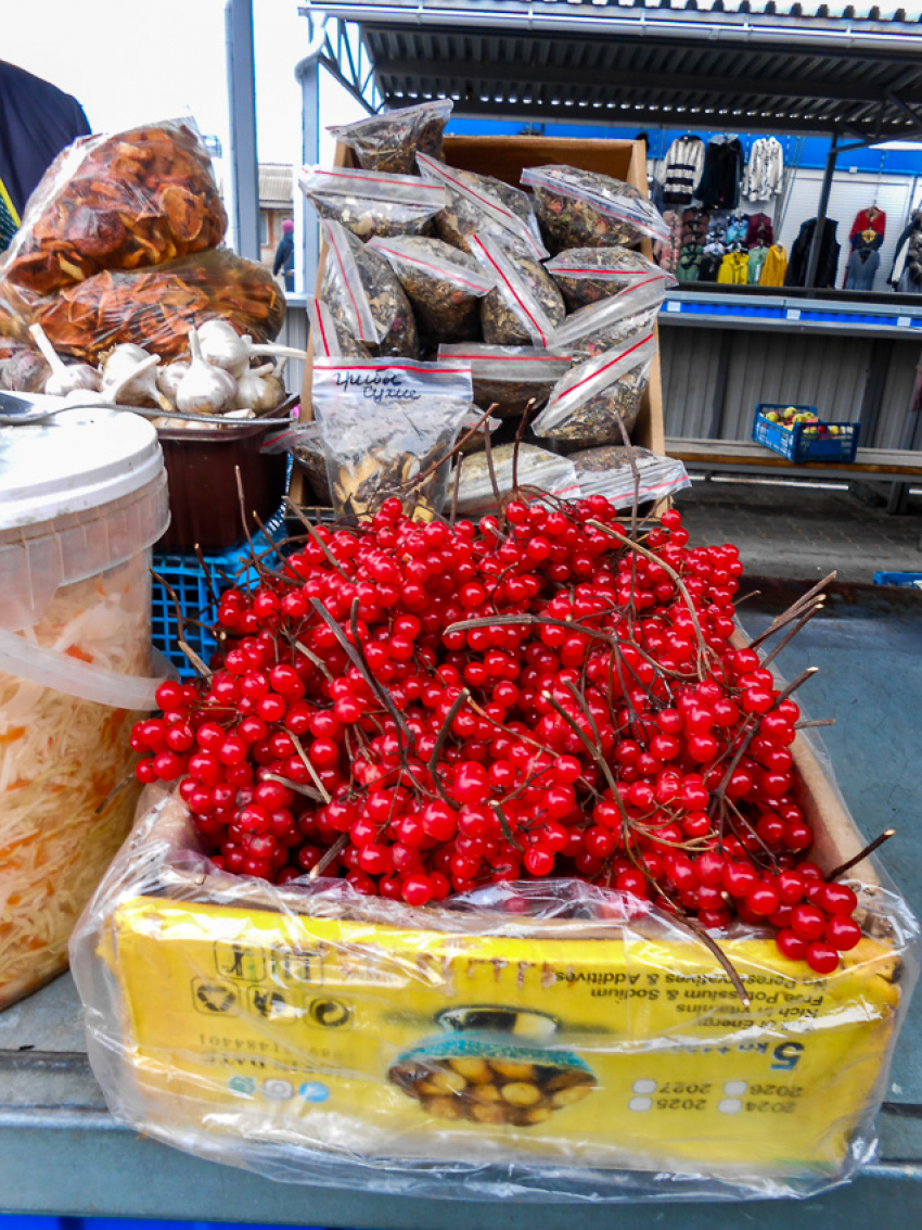 В Камышине днем ноль сегодня, а назавтра уже крепкий мороз: погодная повестка для камышан 23-34 декабря