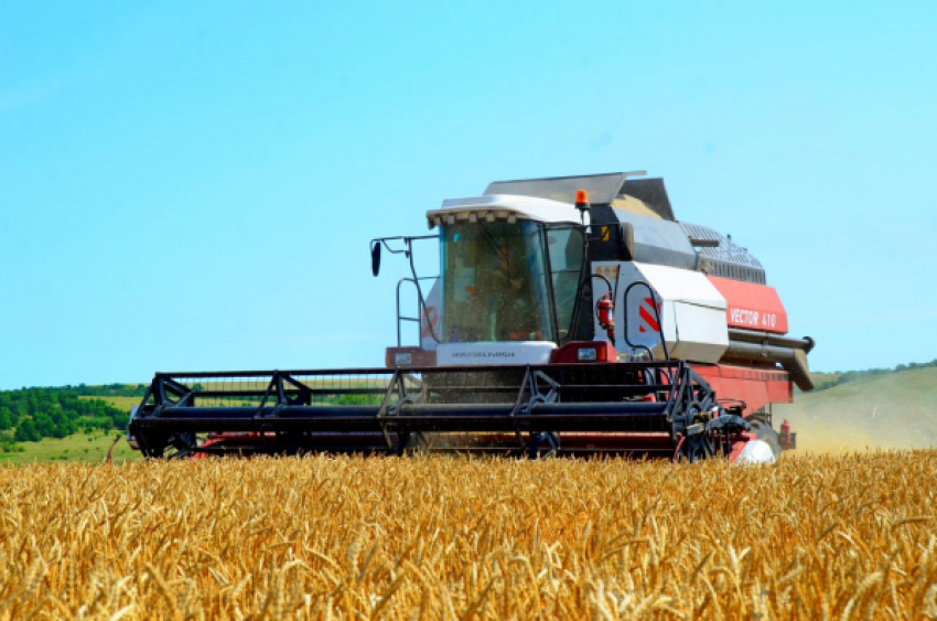 В Камышинском районе рассказали о старте сева озимых