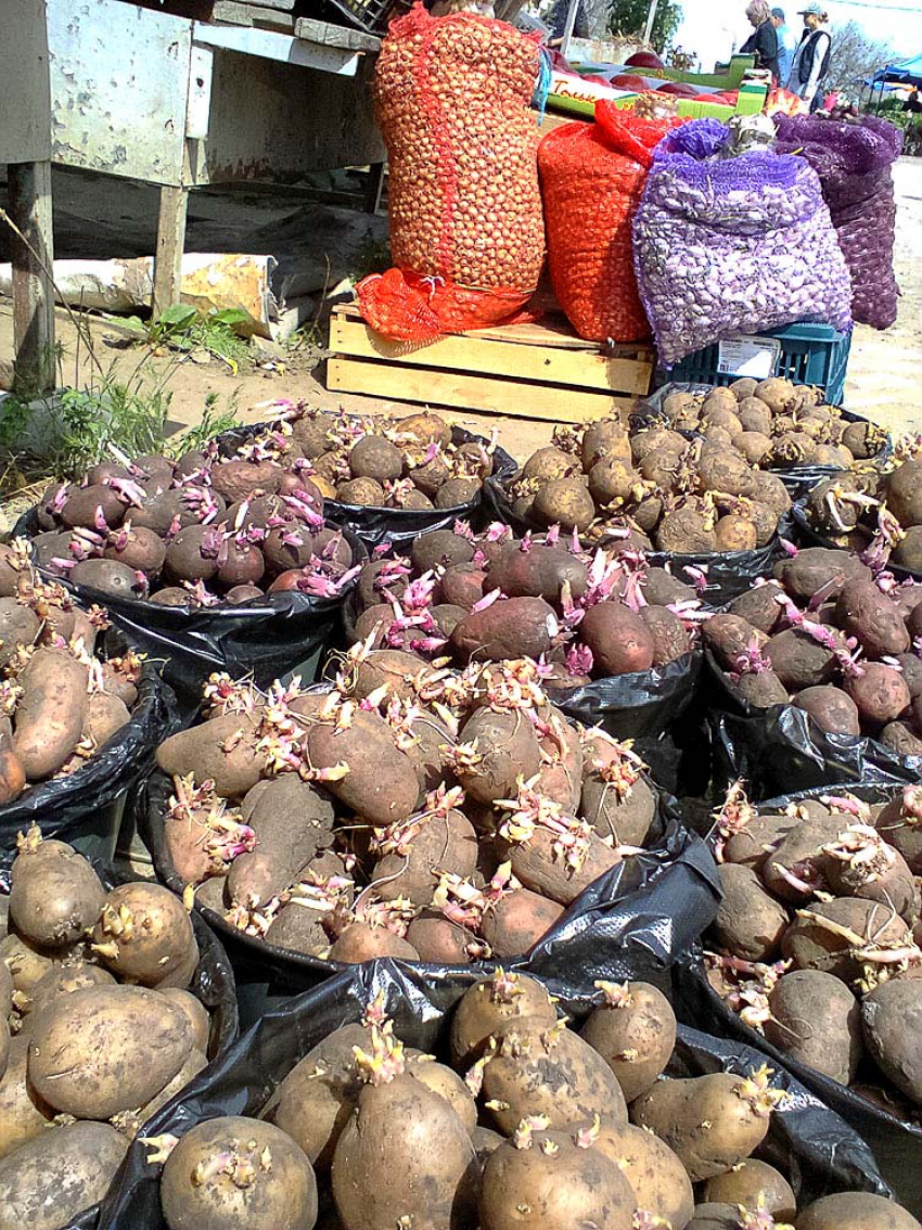 В Волгограде покупателей напрягает цена на картофель, но, увы, не только