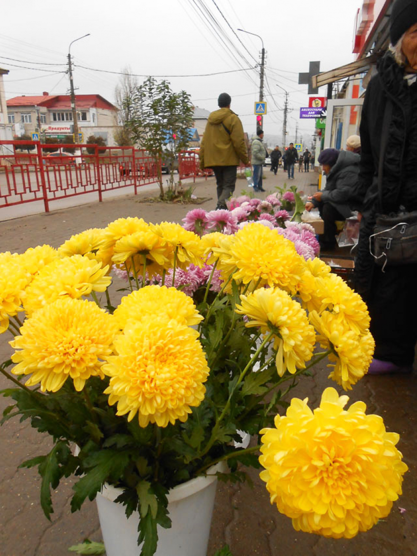 Погодный «плюс» в Камышине «подпортит» геомагнитный шторм