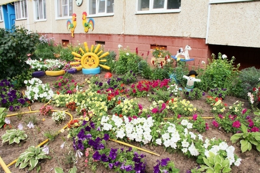 Среди заведующих камышинскими детсадами по зарплатам лидируют Эмира Ашад кызы Садыхова, Гертруда Бурцева и Инна Оганесян