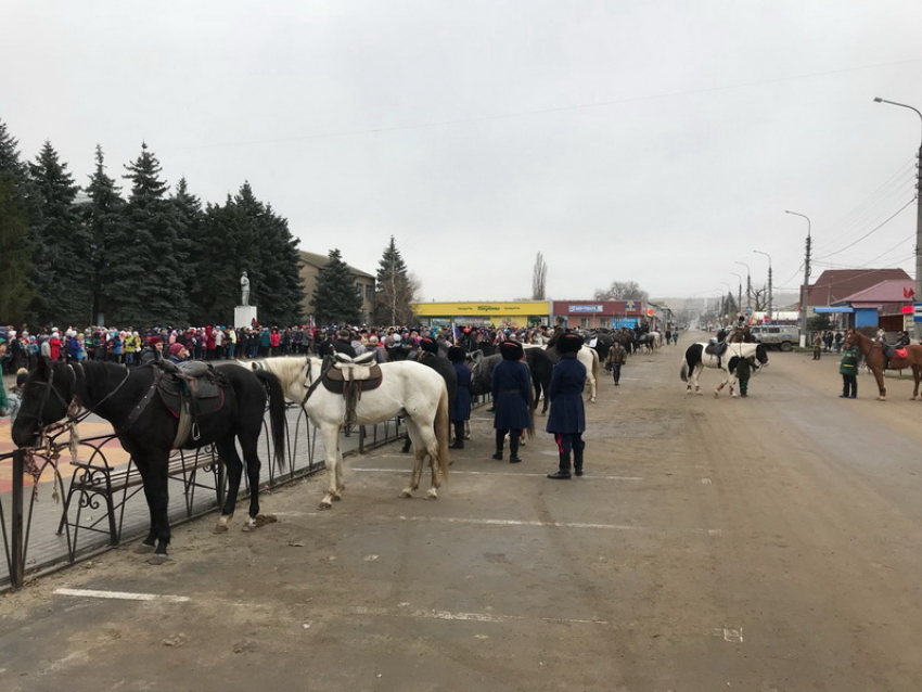 Кавалерийский взвод патрульно-постовой службы Камышина принимает участие в  100-километровом конном переходе	