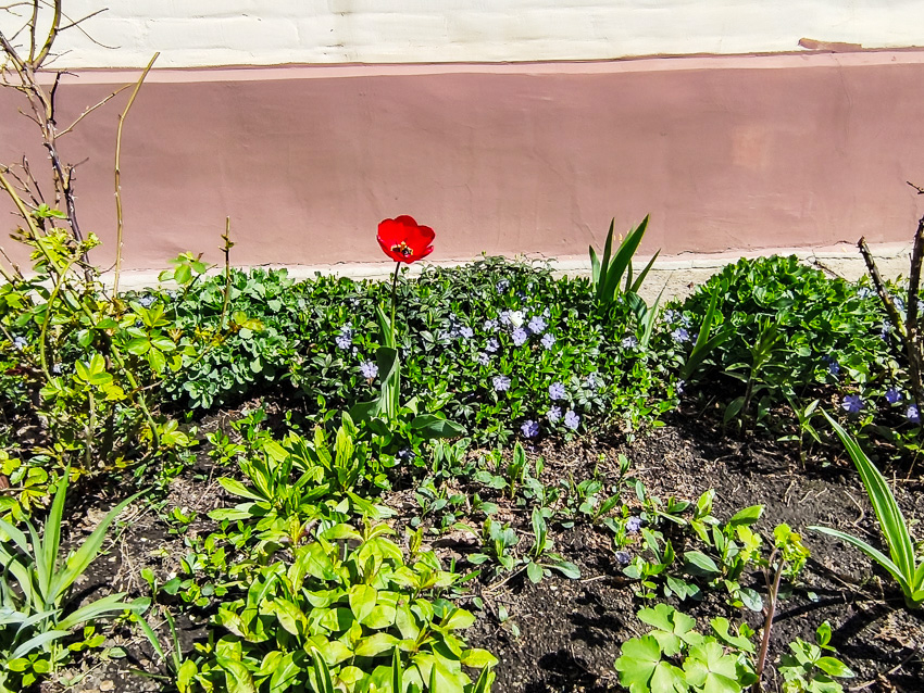 Погодный сервис «ни с того, ни с сего» предупредил камышан о грозе сегодня, 22 апреля, в 18.00